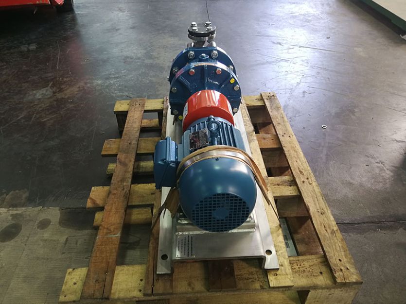 Klaus Union Mag Drive Pump supplied to a Global Chemical Giant in the Chromic Acid area of the plant