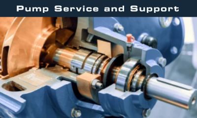 Nica Pumps and Support