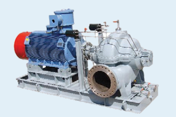 DSV Series BB1 split-case double suction pump