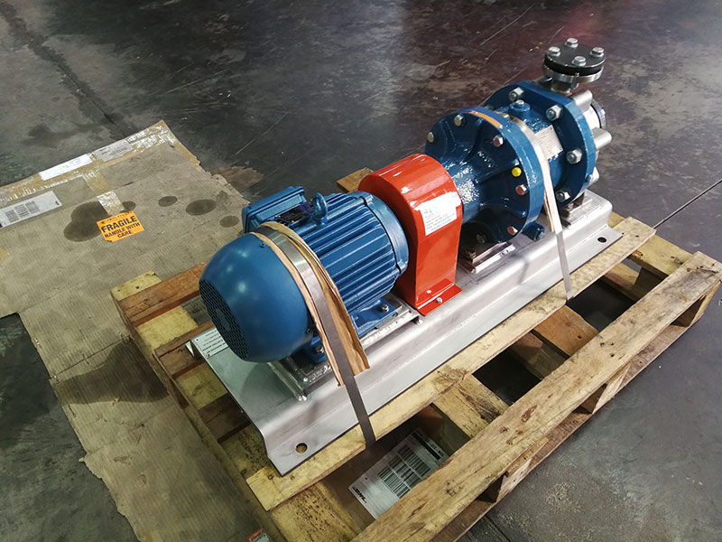 Klaus Union Mag Drive Pump supplied to a Global Chemical Giant in the Chromic Acid area of the plant